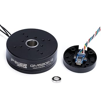 ブラシレスモーター iPower GBM5208-180T 2個セット ブラシレスモーター iPower GBM5208-180T 2個セット Amazon.com